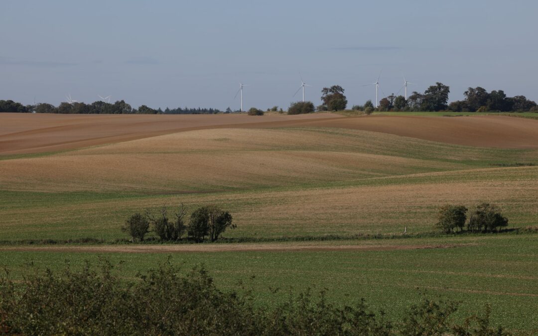 Koło turystyczne