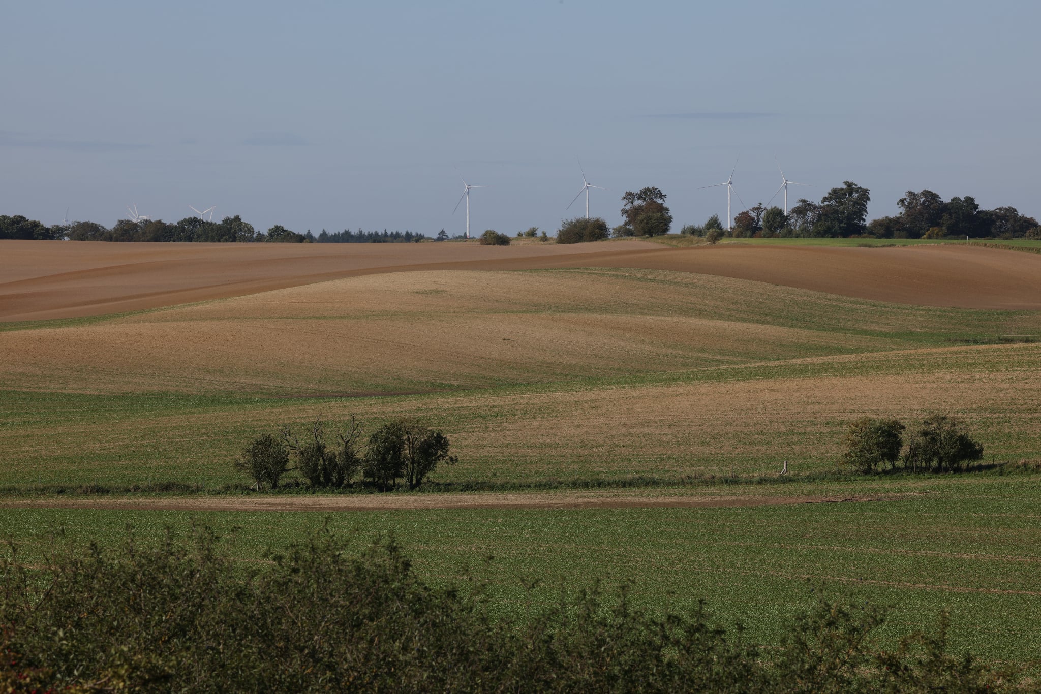 Koło turystyczne